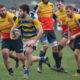 rugby parma