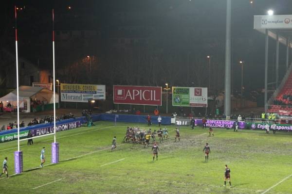 zebre 2014