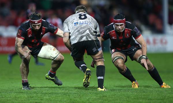 zebre ferrarini challenge cup