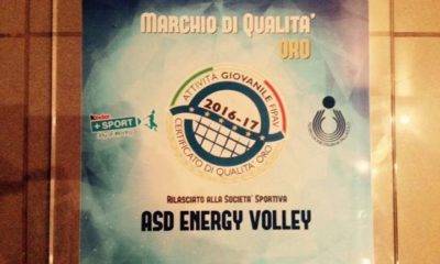 energy volley marchio oro