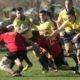 rugby noceto 8