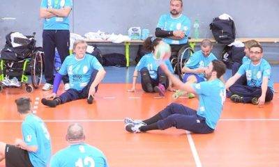 sittingvolley parma lp