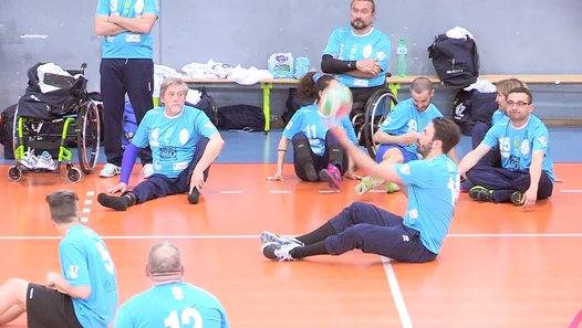 sittingvolley parma lp