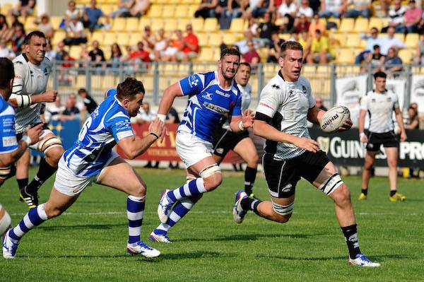 zebre 2016