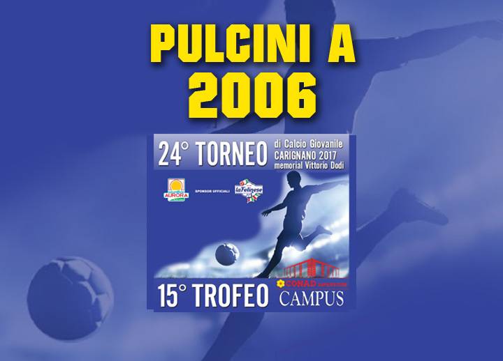 pulcinia2006