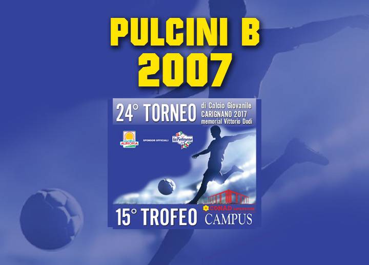 pulcinib2007