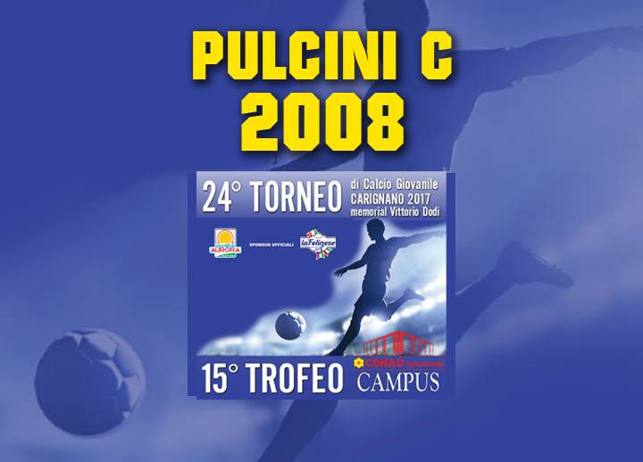 pulcinic2008