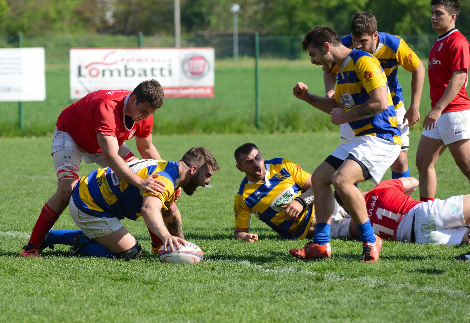 rugby parma meta tognolli