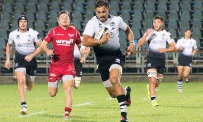 bellini zebre rugby