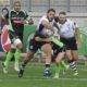venditti zebre rugby large