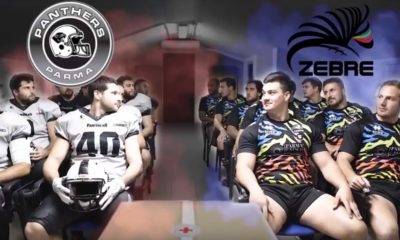 panettone solidale zebre e panthers