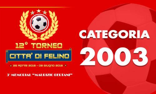 felino categoria 2003