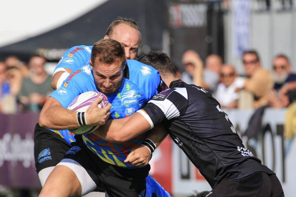 zebre bristol bears challenge cup 1