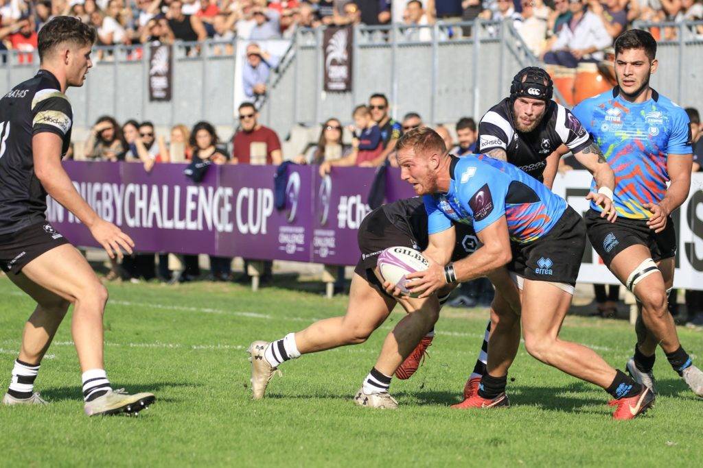 zebre bristol bears challenge cup 10