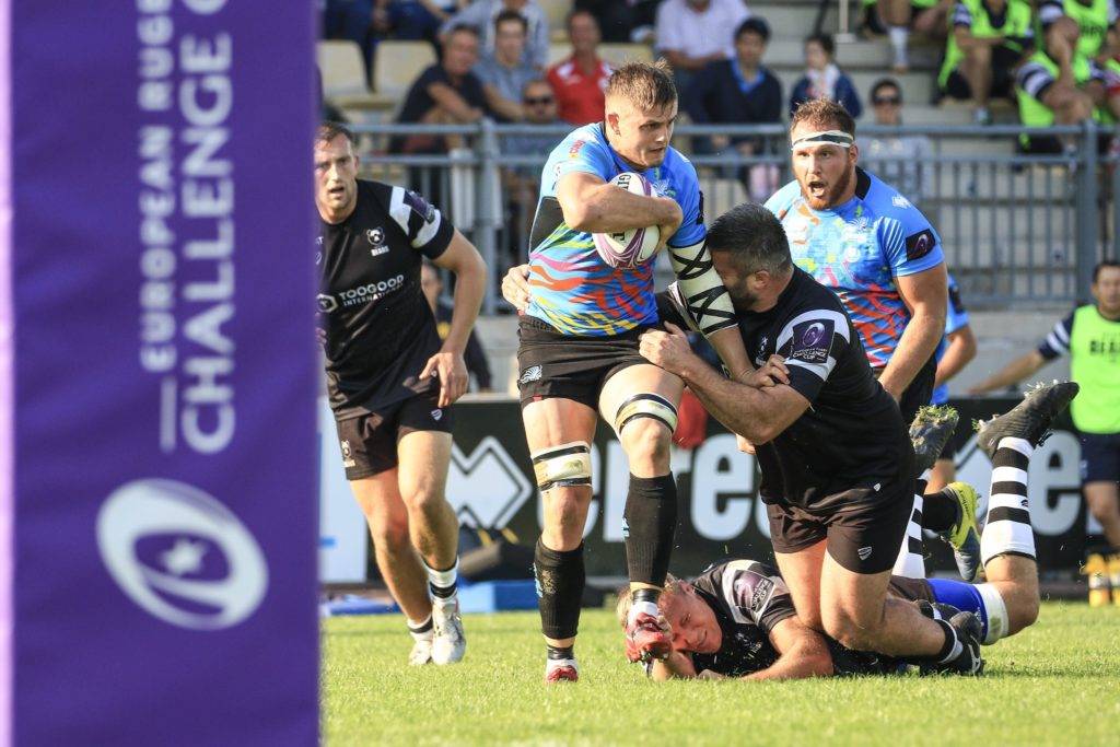 zebre bristol bears challenge cup 11