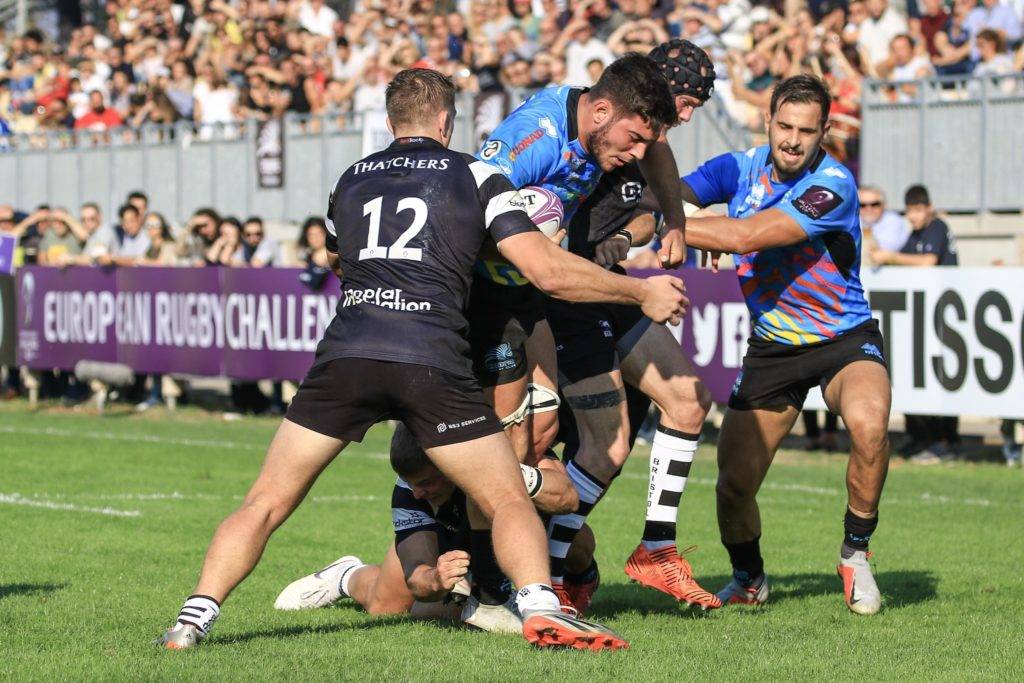 zebre bristol bears challenge cup 13