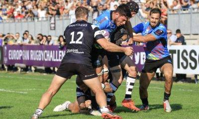 zebre bristol bears challenge cup 13