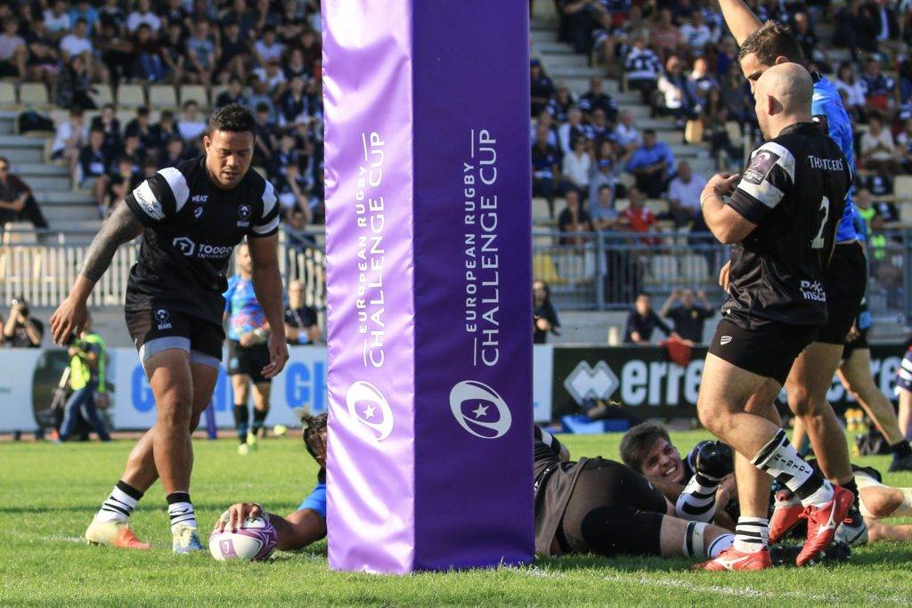 zebre bristol bears challenge cup 15