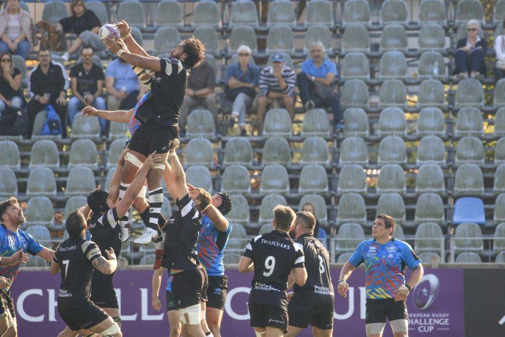 zebre bristol bears challenge cup 16