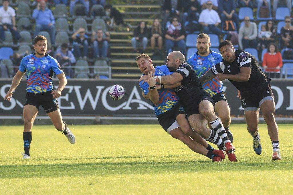 zebre bristol bears challenge cup 18