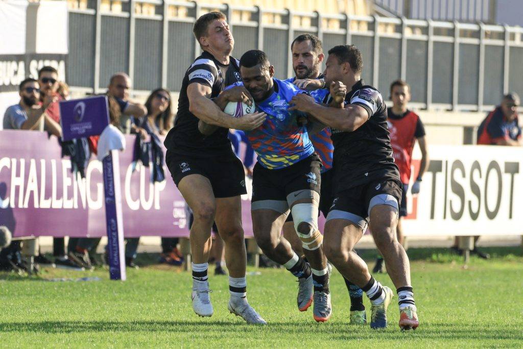 zebre bristol bears challenge cup 19