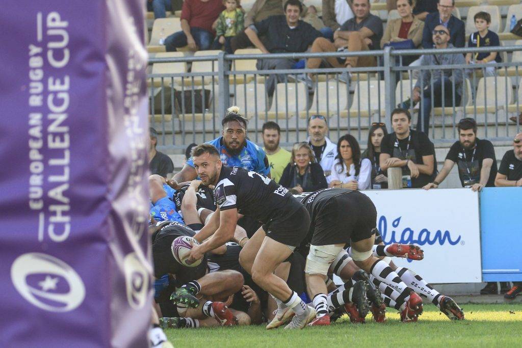 zebre bristol bears challenge cup 21