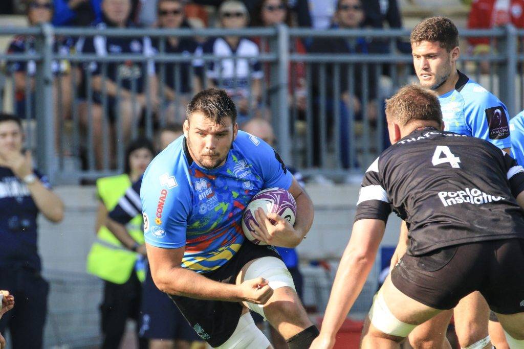 zebre bristol bears challenge cup 3