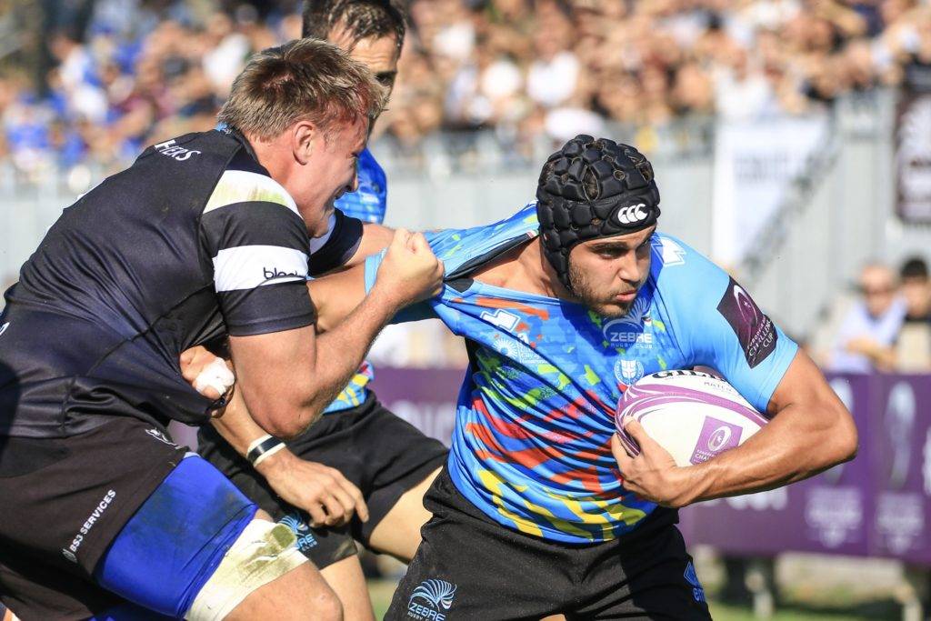 zebre bristol bears challenge cup 5