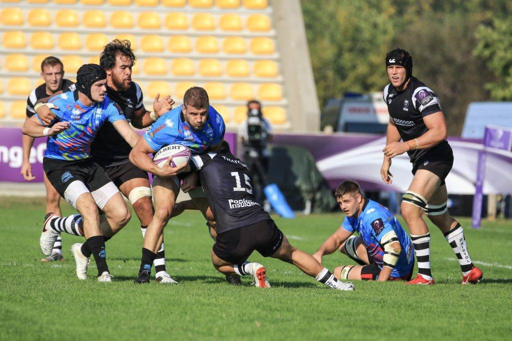 zebre bristol bears challenge cup 7