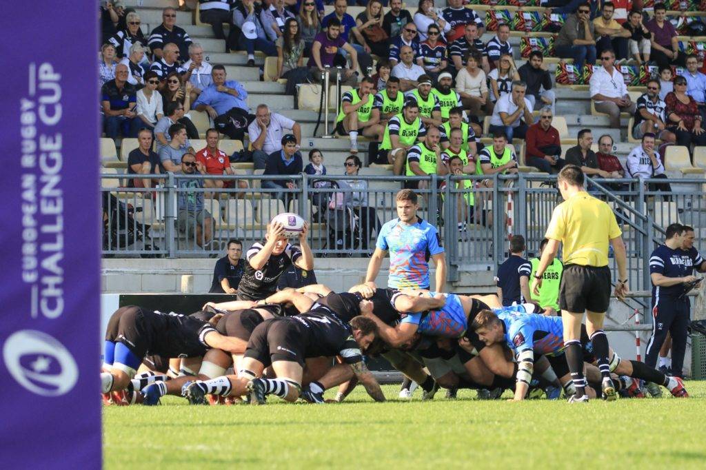 zebre bristol bears challenge cup 8