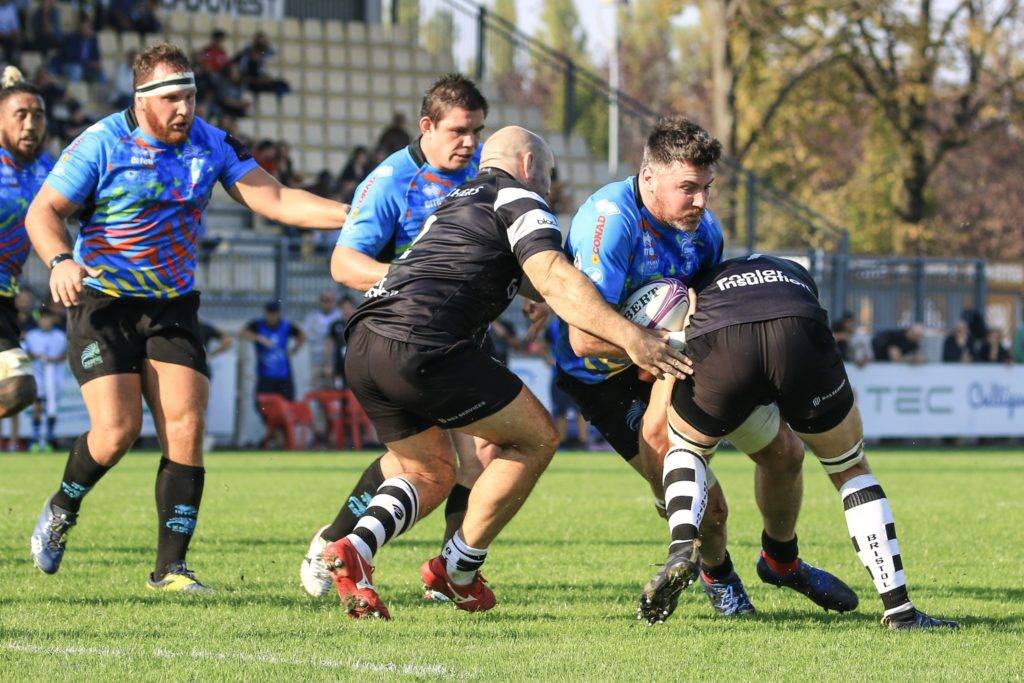 zebre bristol bears challenge cup 9