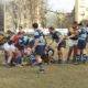 Rugby Parma Amatori Arca gualerzi 13 1 19 10