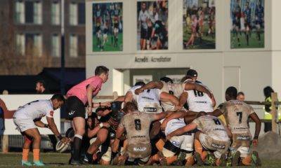 pro14 zebre vs cheetahs 12