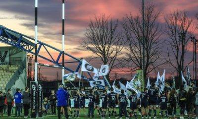 zebre ingresso in campo