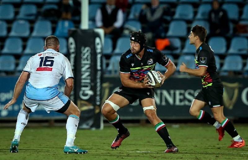 Zebre CardiffBlues Masselli