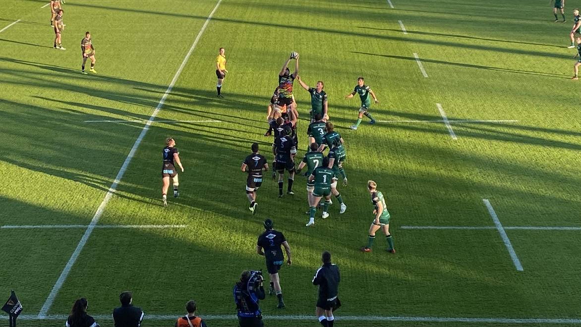 zebre connacht 11 2020