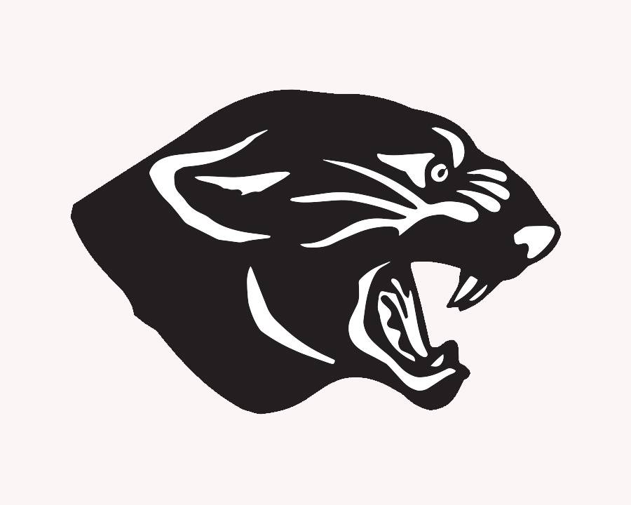 Panthers logo