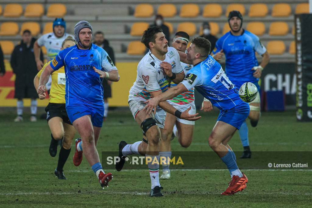 zebre rugby vs Worcester