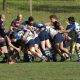 rugby parma mischia