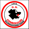 combisalso logo