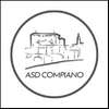 compiani logo