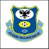 junior pallavicino logo