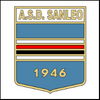 san leo logo