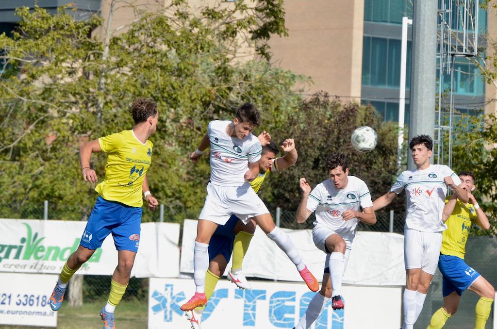 Il gol di Antonio Orteca in Il Cervo Alsenese 1 3 6a giornata Promozione 2023 2024