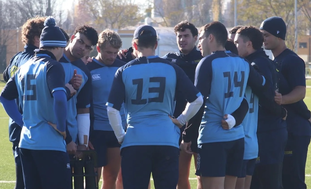 zebre allenamento squadra