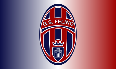 GS Felino