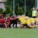 Zebre Parma Oyonnax 17 17 amicheovole