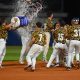 i giocatori del Parmaclima festeggiano Liddi dopo la valida della vittoria foto Corrado Benedetti per Oldmanagency