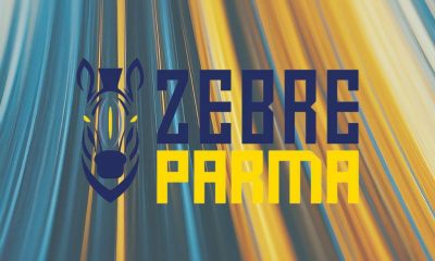 logo Zebre Parma su sfondo gialloblu