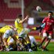 Scarlets vs Zebre Parma 30 8 11 8